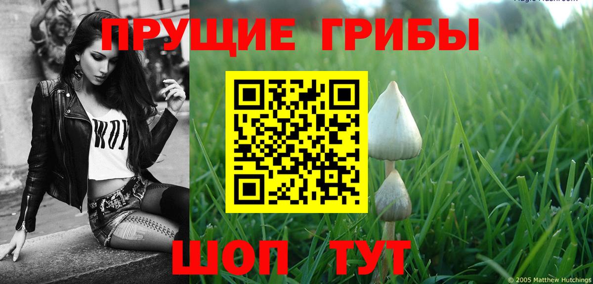 Аргун  Галлюциногенные грибы мухоморы  Псилоцибиновые грибы Magic Shrooms  Вход с VPN 