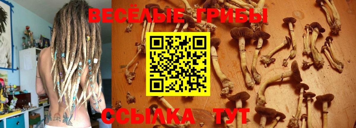 Галлюциногенные грибы мицелий Аргун